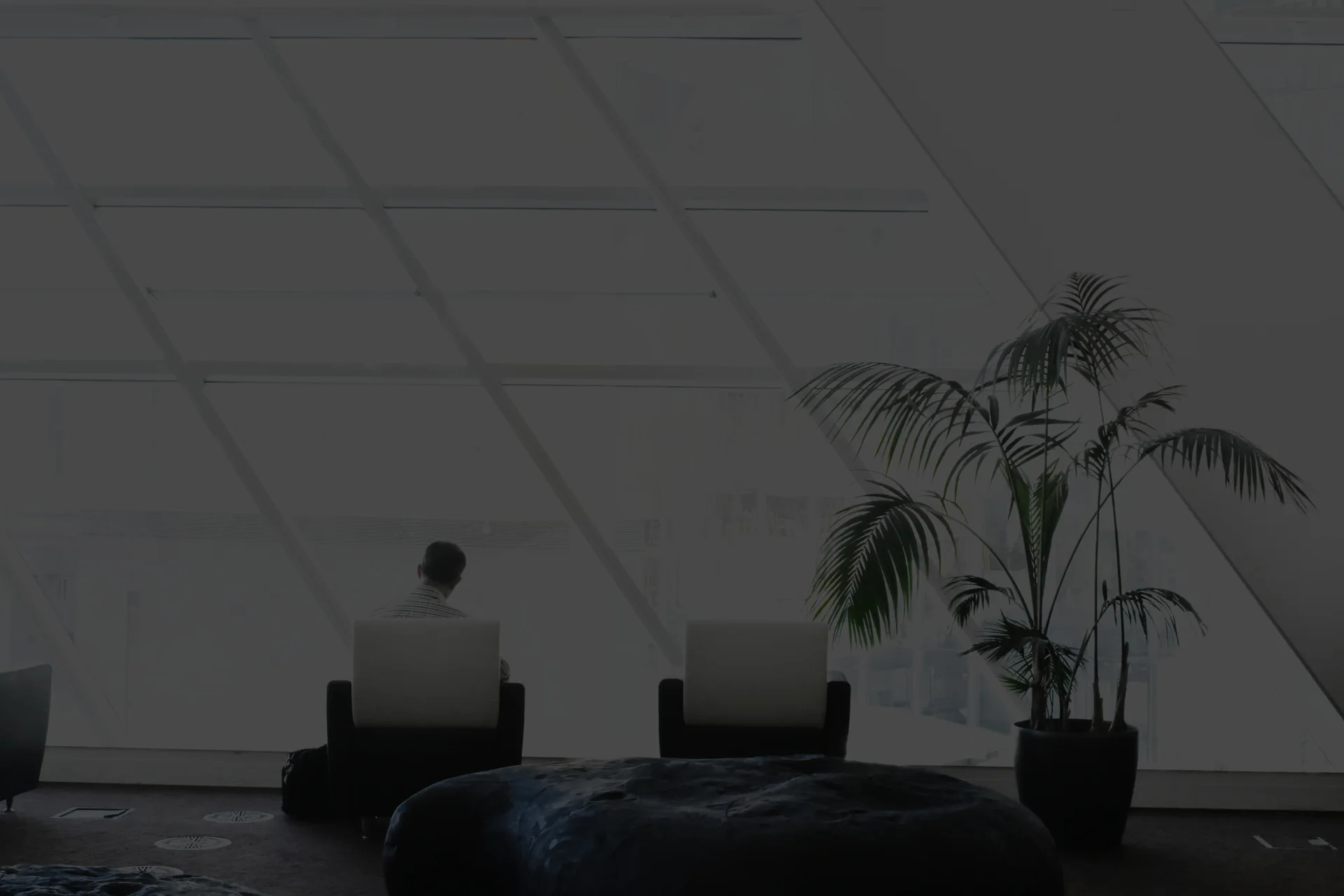 An open office floor with two empty armchairs and a potted palm